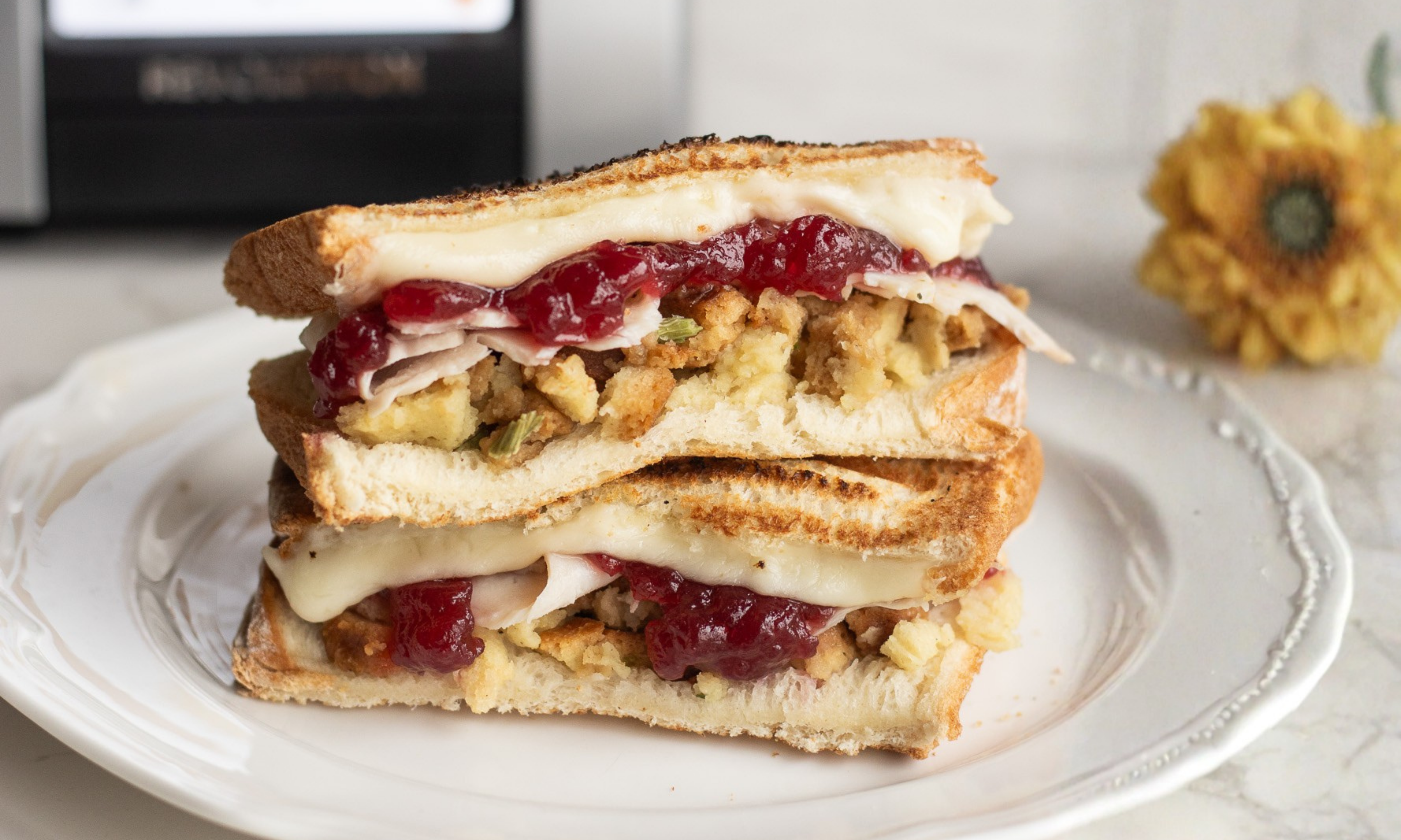 Thanksgiving Leftover Turkey Panini