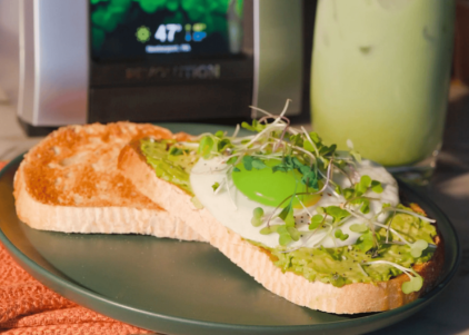 Golden artisan toast topped with creamy mashed avocado and vibrant green eggs, garnished for St. Patrick’s Day.